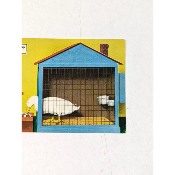 Advertising Postcard Hot Springs Arkansas AR‎ Zoo The Drumming Duck 1960s Paper - Picture 3 of 7